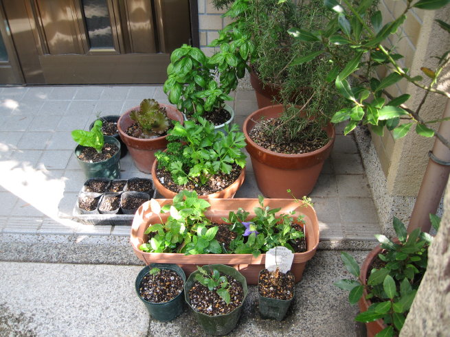 f0068334_16282591.jpg