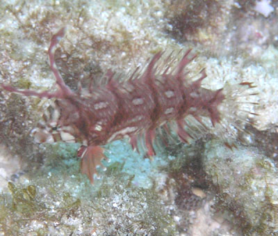 f0014842_8353027.jpg