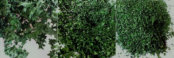 ☆ドライパセリの作り方☆_c0092953_2324927.jpg