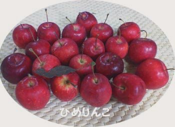 ☆ちょっと待っててくださいね☆_c0092953_2463379.jpg