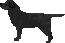 c0117058_1084393.gif