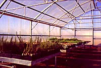 b0069365_48013.jpg