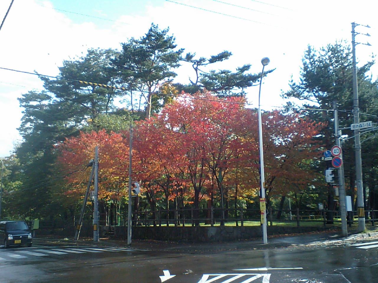 d0098665_10475931.jpg