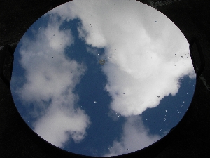 a0095470_2323193.jpg