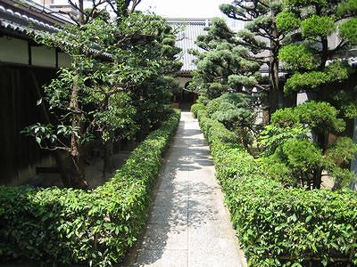 寶泉寺_f0139570_732488.jpg