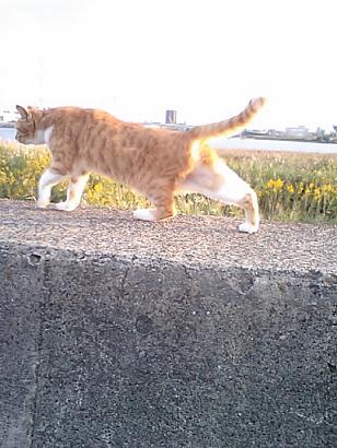 d0043280_17441123.jpg