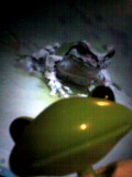 d0037486_23251963.jpg