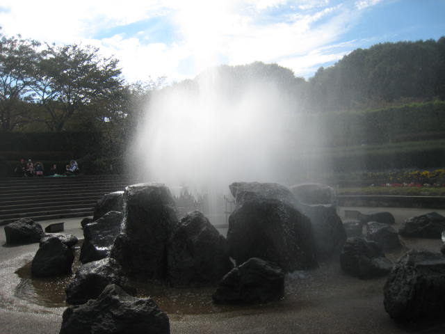 d0116891_20155950.jpg