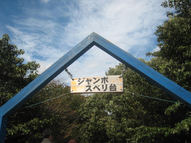 d0116891_203778.jpg