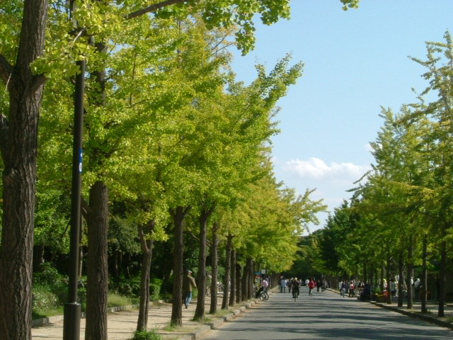 b0044296_2012153.jpg