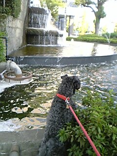 c0037701_23573016.jpg