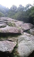 f0143504_23402766.jpg