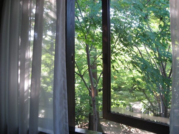 e0001406_18371180.jpg