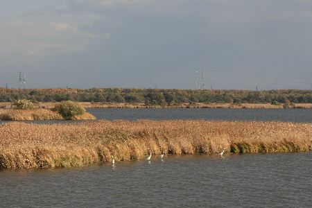 f0041606_20273276.jpg