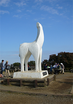 c0100409_2055399.jpg