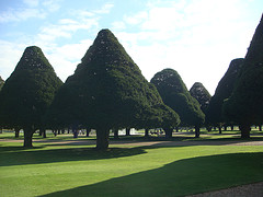 b0077516_94345.jpg