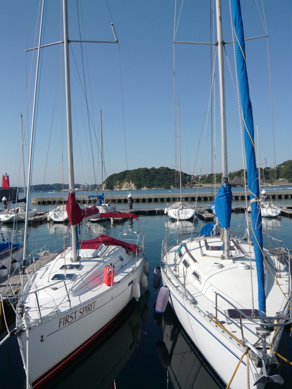 d0065116_17481656.jpg