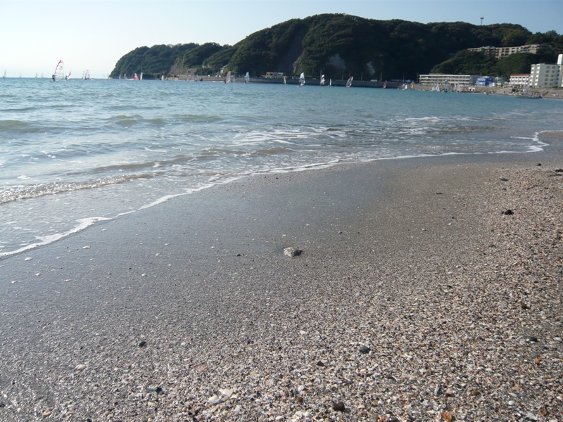 d0065116_1831886.jpg