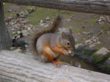 c0135618_2511487.jpg