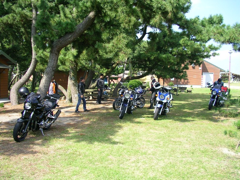 a0001020_1654225.jpg