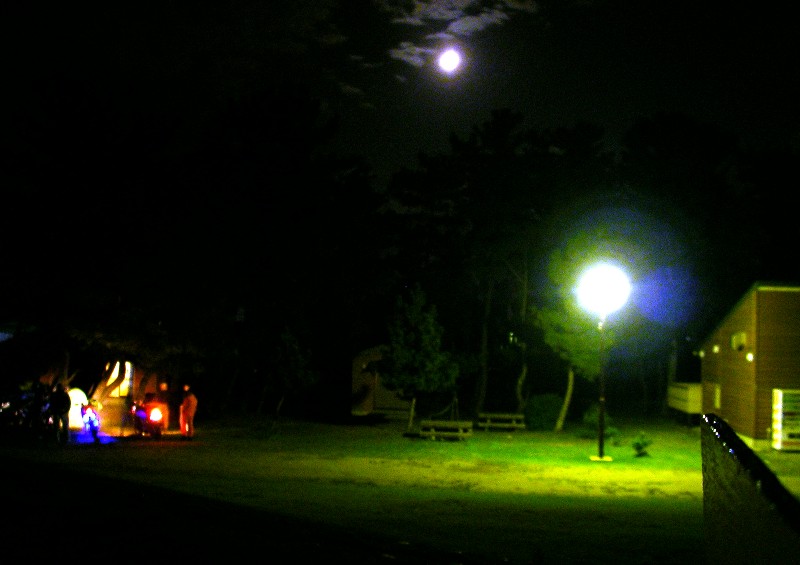 a0001020_1683573.jpg