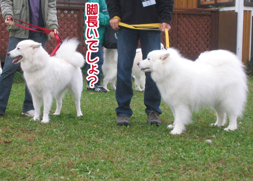 a0044521_0442527.jpg