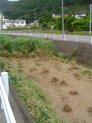 c0057821_15101033.jpg