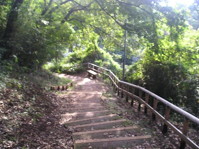 b0087822_101946100.jpg