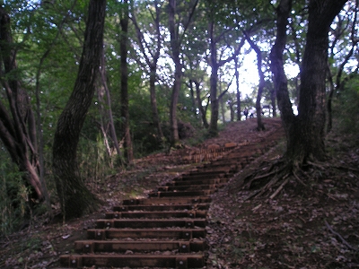 b0087822_10213091.jpg