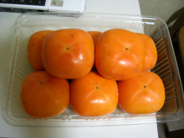 f0051125_20415475.jpg