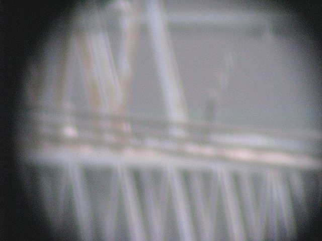 f0100825_19221749.jpg