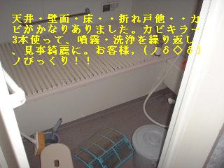 f0031037_20132456.jpg