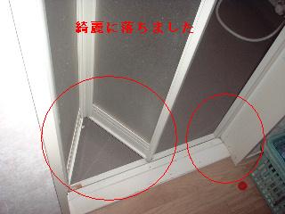 f0031037_20141875.jpg