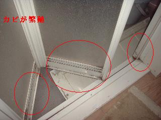 f0031037_2014272.jpg