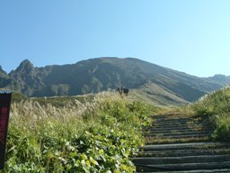 阿蘇　バカ尾根から高岳、中岳　おそらく今年最高の山登り_c0077338_21533036.jpg