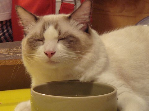 a0062240_135781.jpg