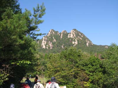 e0110940_2024843.jpg