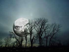 Bad Moon Rising by Creedence Clearwater Revival_f0147840_1152088.jpg