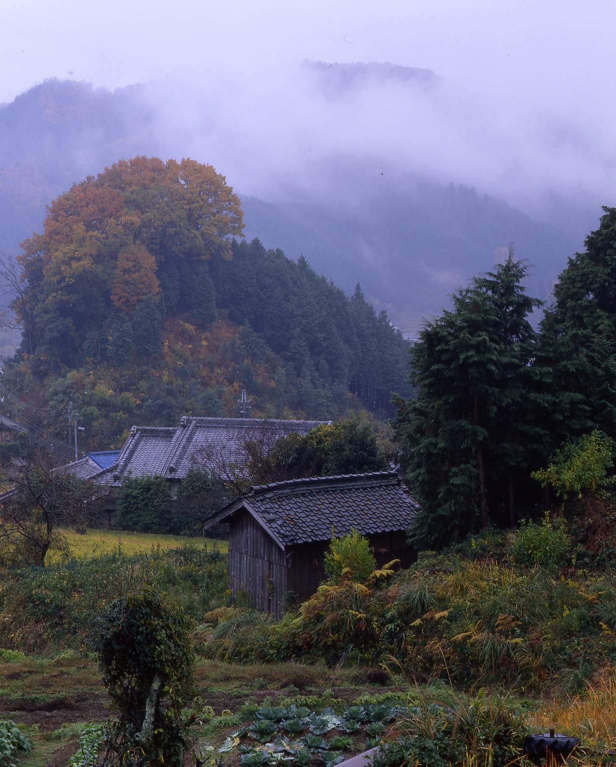 宇陀市　榛原区額井（ぬかい）　初秋_c0108146_21204884.jpg