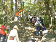 輝く紅葉・信玄棒道と馬の里_f0019247_2314224.jpg