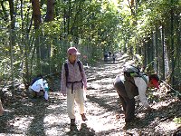 輝く紅葉・信玄棒道と馬の里_f0019247_23145511.jpg