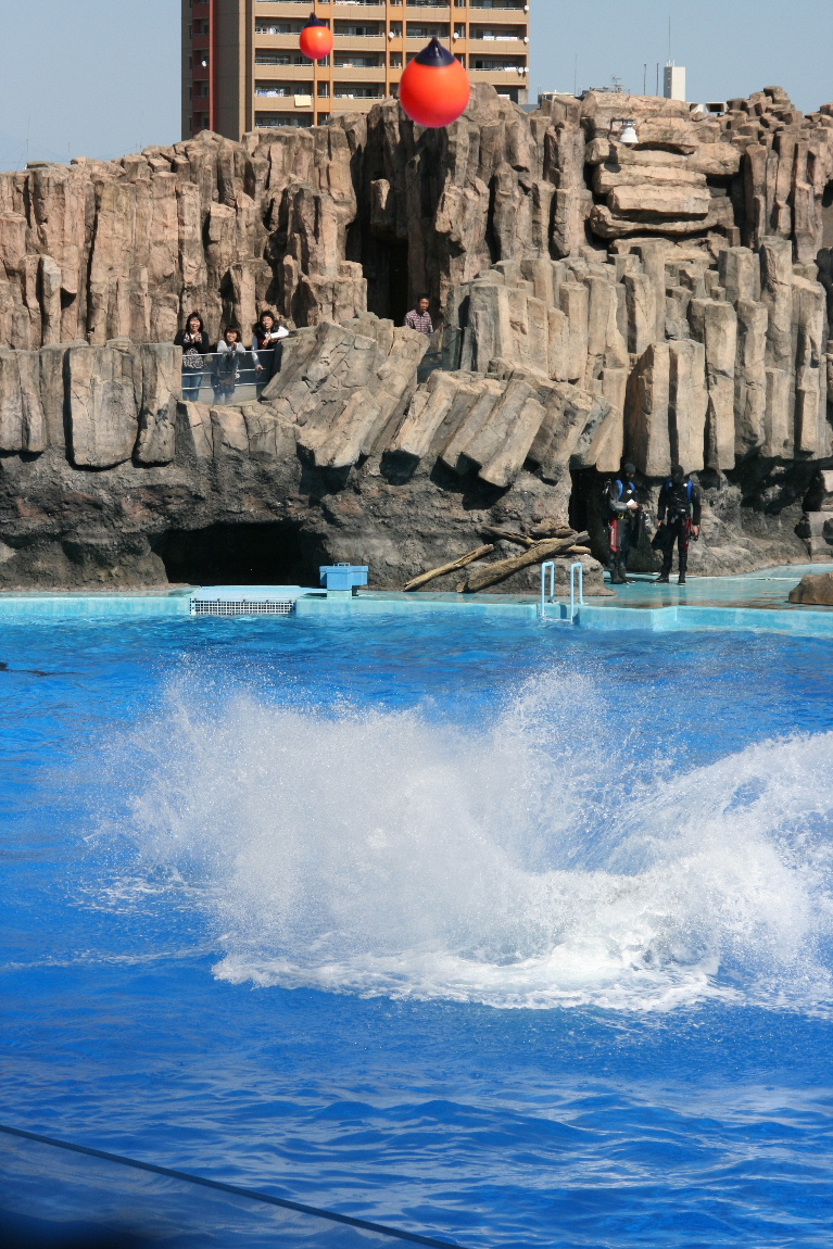 名古屋港水族館_a0104448_1652216.jpg