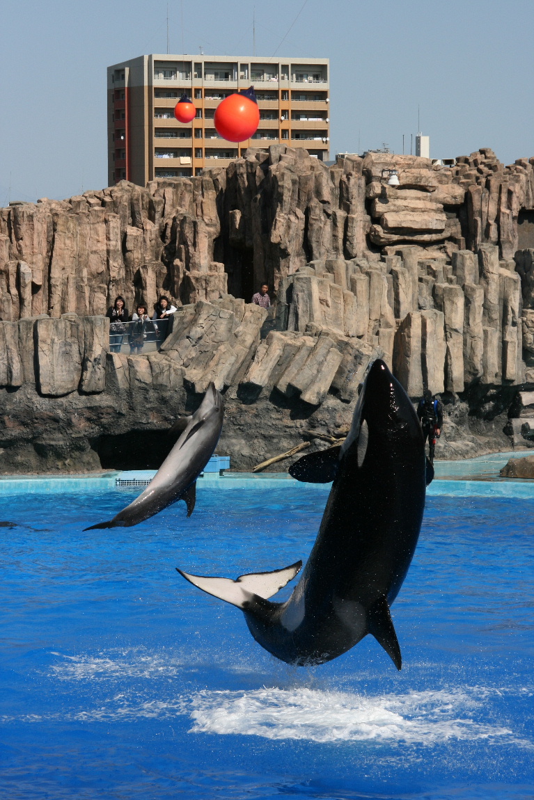 名古屋港水族館_a0104448_1652473.jpg