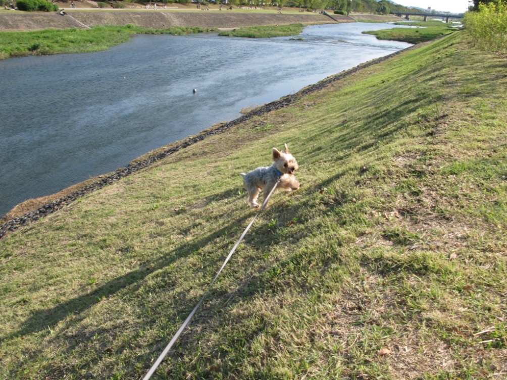f0152550_19304238.jpg