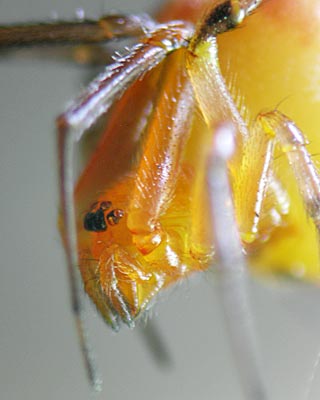 e0035757_23394429.jpg
