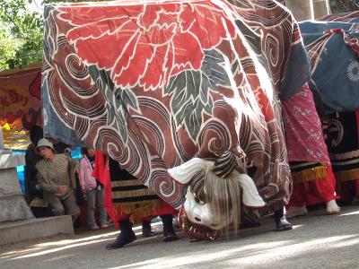 大根布のお祭り : アカシア姫のチョボラ日記