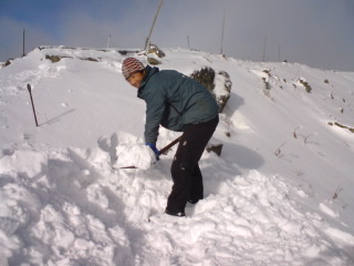 d0110562_16425665.jpg