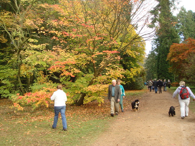 e0078564_42679.jpg