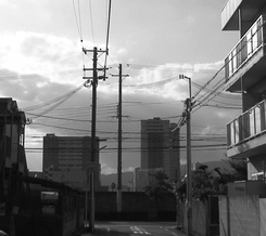 d0083265_13525265.jpg