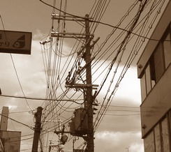 d0083265_140275.jpg